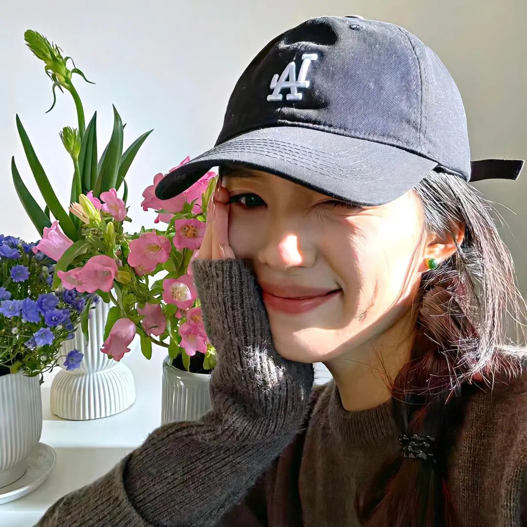 拜访森林